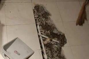 吉首卫生间漏水检测电话